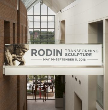 Rodin interior vinyl
