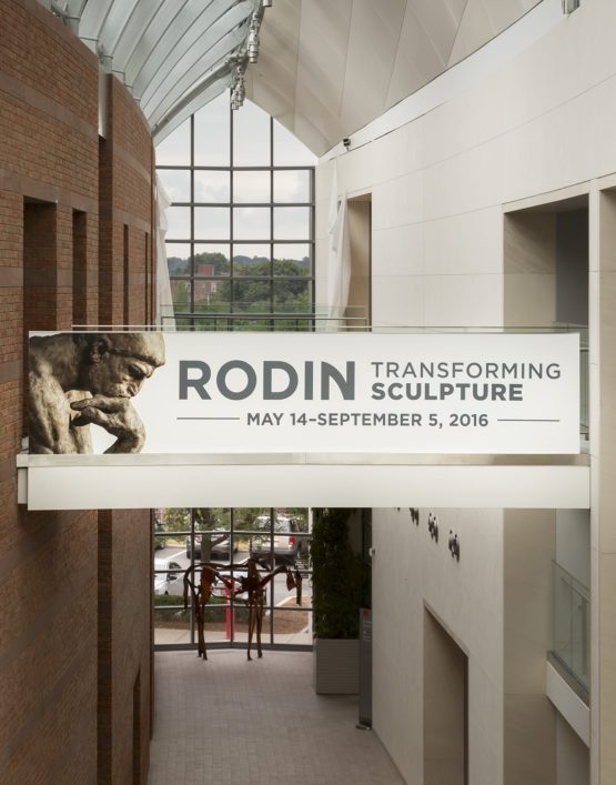 Rodin interior vinyl