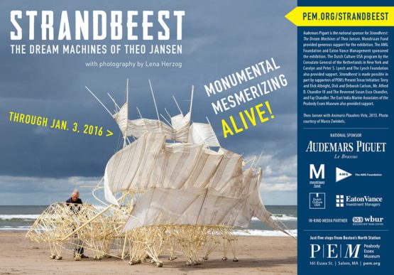 Strandbeest half page ad
