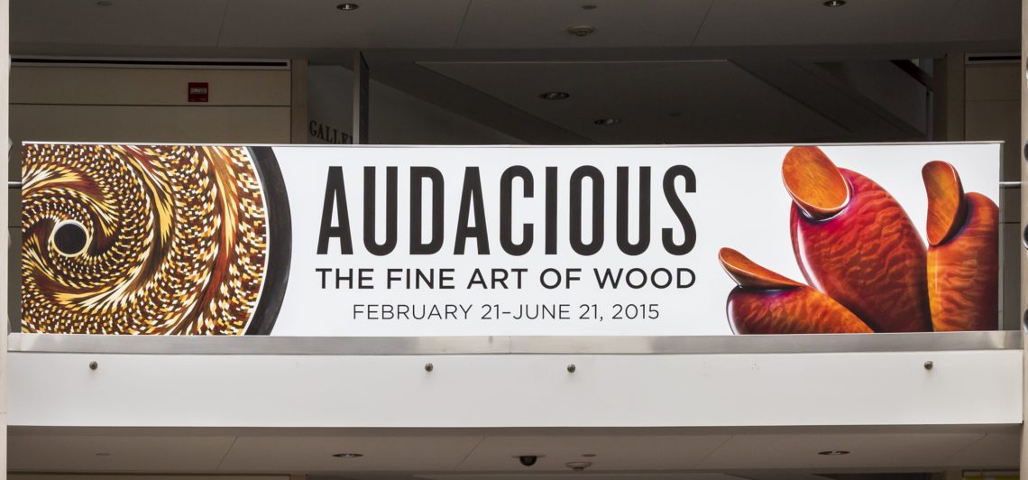 Audacious interior banner